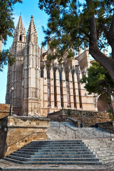 Buitenkant van de kathedraal La Seu in de Palma de Mallorca, Spanje — Stockfoto