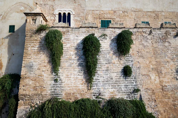 Steinmauer der Kathedrale la seu, Palma de mallorca, Spanien — Stockfoto