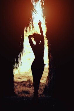 Palmiye ağaçları arasında poz veren güneş ışığı ile aydınlatılan yol