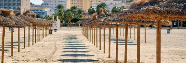 Sombrillas de paja en fila en la playa de arena — Foto de Stock