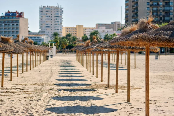 Sombrillas de paja en fila en la playa de arena — Foto de Stock