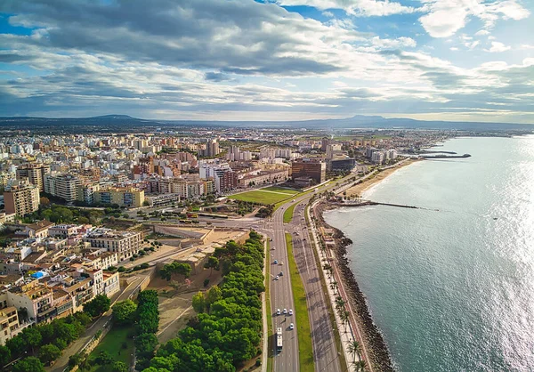 Panorama Aéreo Palma Mallorca Escena Urbana Con Caminos Largo Palmeras — Foto de Stock