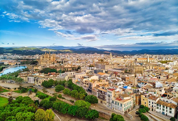 Hava Aracı Görüntüsü Majorca Şehir Manzarası Palma Mallorca Veya Seu — Stok fotoğraf