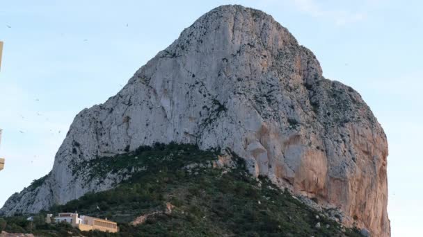 Troupeau Mouettes Volantes Près Parque Natural Del Penon Ifach Calpe — Video