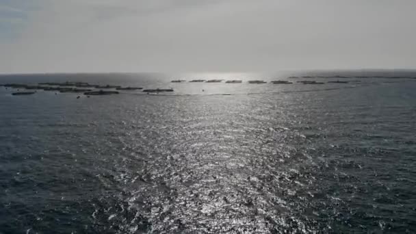 Echtzeit-Drohnenvideo Austern und Muscheln Zucht, Methode des Netzkäfigs schwimmend im Mittelmeer, malerische Landschaft mit Klippen blaues Wasser und Almeria Stadt Fernsicht, Andalusien Spanien