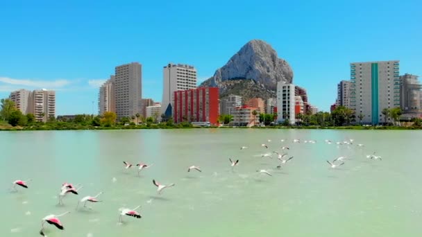 Calpe Španělsko Července 2020 Městské Panorama Calpe City Penyal Ifac — Stock video