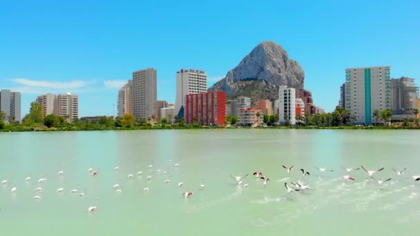 Calpe España Julio 2020 Skyline Urbano Ciudad Calpe Roca Penyal — Vídeo de stock