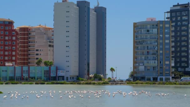 Calpe España Julio 2020 Vista Tiempo Real Calpe City Salt — Vídeo de stock