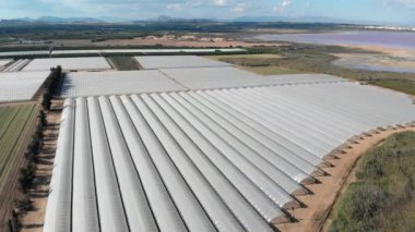 Hava aracı bakış açısıyla, gerçek zamanlı sera görüntüsü. Tuz gölü yakınlarındaki İspanyol çiftliğinin manzarası. Alicante vilayeti. Torrevieja, Costa Blanca, İspanya