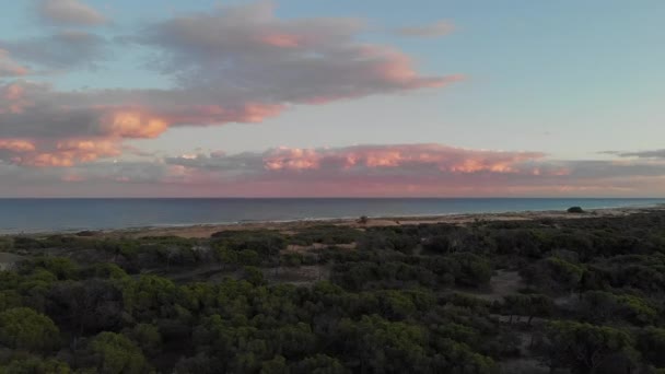桑迪从顶上俯瞰海滨景色 无人机的视野沿海地中海冲浪 粉色明亮蓬松的云彩蓝色的夜空 西班牙 科斯塔布兰卡 托雷维加 阿利坎特拉马塔省 — 图库视频影像
