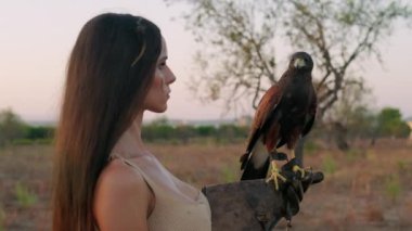 Yavaş çekim gören kartal koruyucu eldivenle kadın elinin üzerine oturur. Falconry, vahşi kuşlar eğitim konsepti
