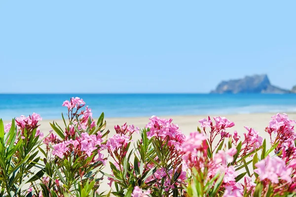 Strand Van Moraira Tijdens Zonnige Zomerdag Spaanse Kustplaats Spanje — Stockfoto