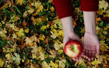 Zholtye eller elma kat kadın sonbahar yaprakları
