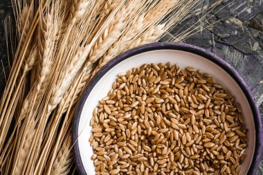 Buğday ve buğday taneleri mavi ahşap zemin üzerine kase