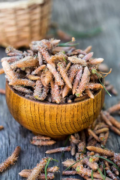 Pine toppen in een kom — Stockfoto