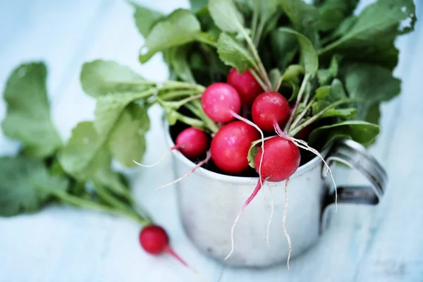 Radish in an old metal cup — Stock Photo, Image