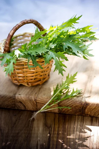 Salatsenfblätter im Korb — Stockfoto