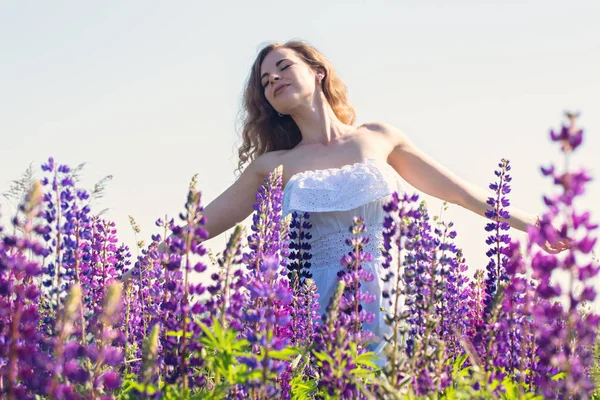 Özgür kadın lupines alanında — Stok fotoğraf