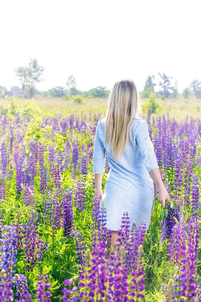 A menina está andando ao longo do campo — Fotografia de Stock