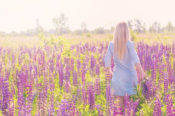 Flickan promenader längs fältet lila — Stockfoto
