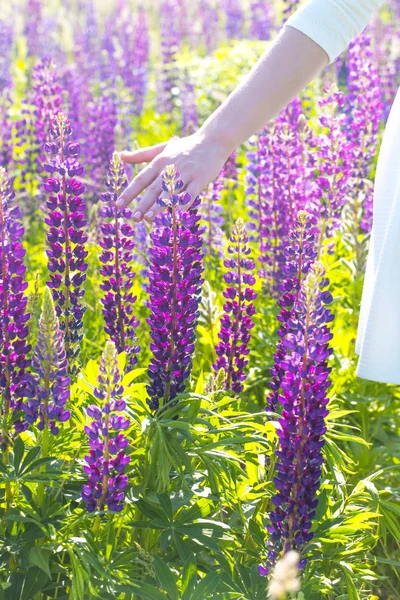 Flickan strök blommorna — Stockfoto