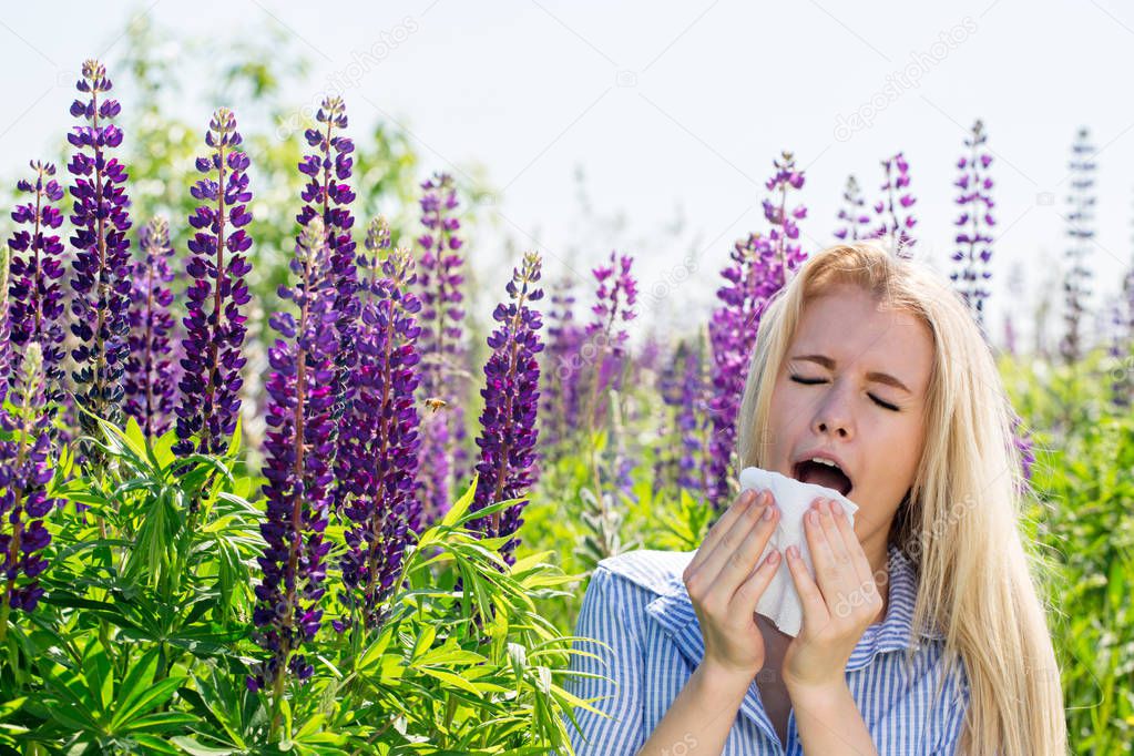 The girl sneezes from flowering lupines