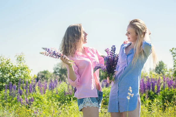 Lupines ile sahada iki neşeli arkadaşları — Stok fotoğraf