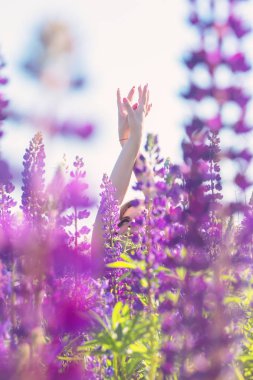 Ellerinde çiçekler