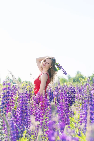 Ragazza con un fiore su un campo di lupini — Foto Stock