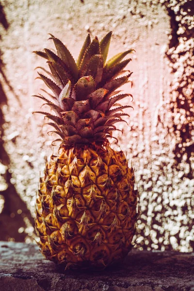 Jahrgang getönte Ananas Foto — Stockfoto