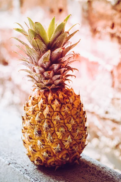 Ananas-Foto — Stockfoto