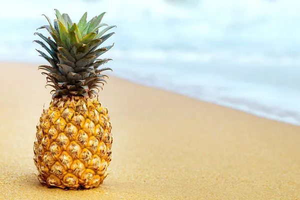 Ananas auf goldenem Sand — Stockfoto