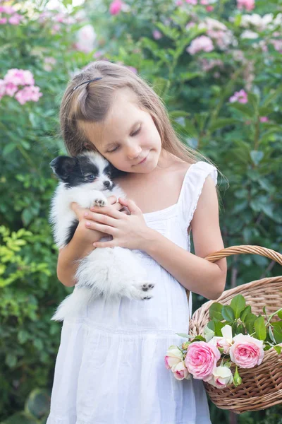 Bir köpek yavrusu ile tatlı kız — Stok fotoğraf