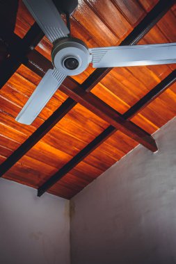 tavan fanı, yakın çekim
