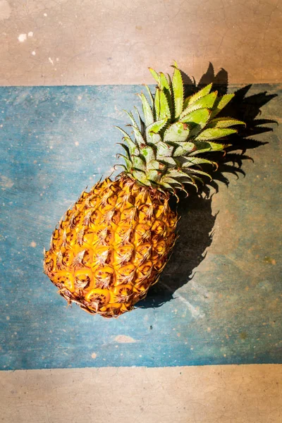 Ananas im Sonnenlicht — Stockfoto