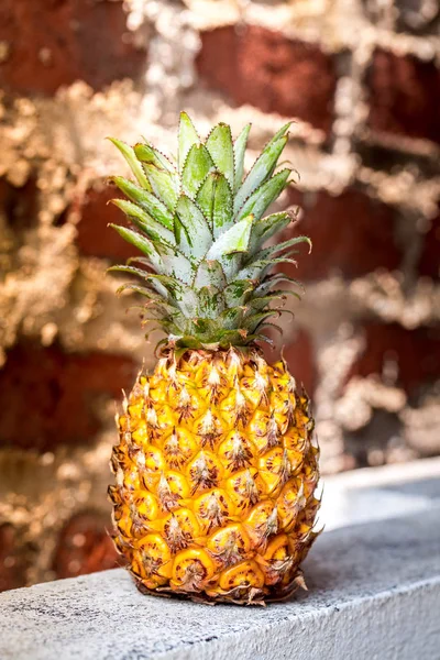 Ananas auf dem Hintergrund der alten Mauer — Stockfoto