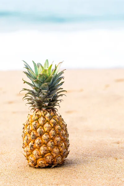 Reife Ananas in der Nähe des Ozeans — Stockfoto