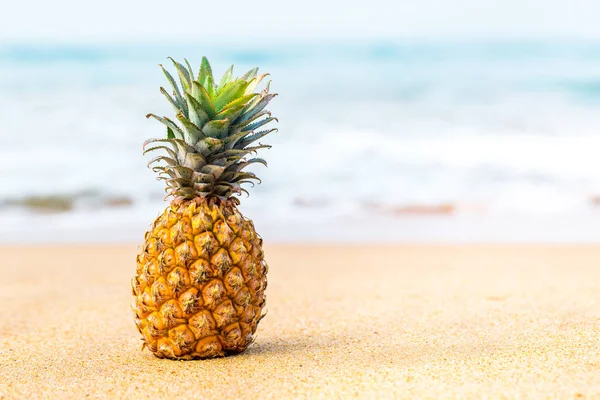 Ananas in der Nähe des Ozeans — Stockfoto