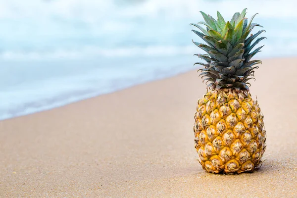 Ananas am Strand — Stockfoto