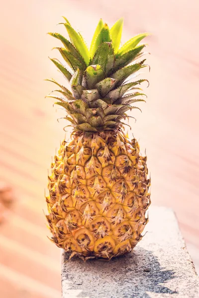 Ananas im Sonnenlicht — Stockfoto