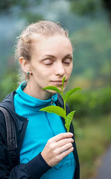 Mulher cheirando um ramo de um chá — Fotografia de Stock