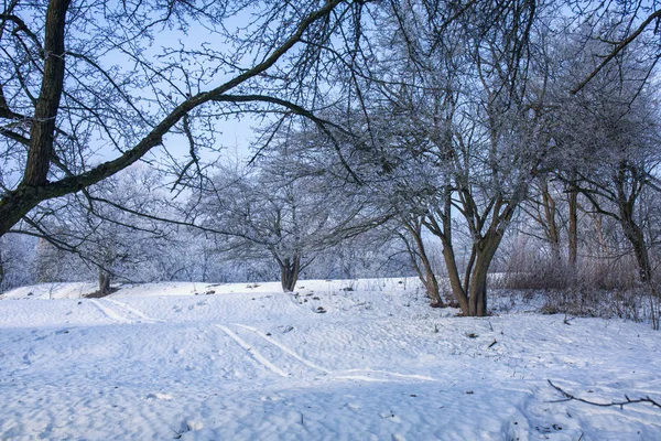 Deslizamiento de nieve en el parque — Foto de Stock