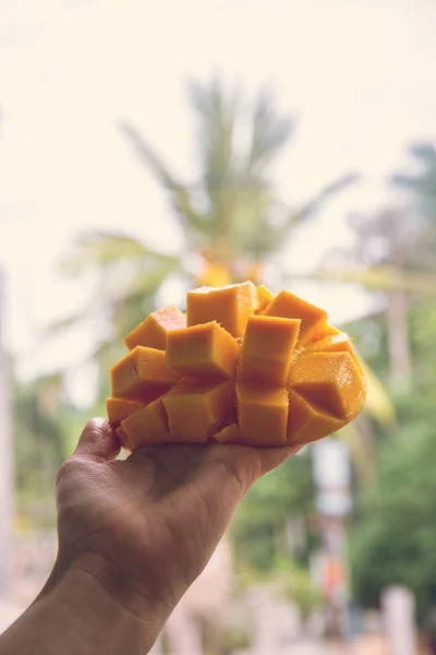 Dojrzałe mango w dłoni — Zdjęcie stockowe