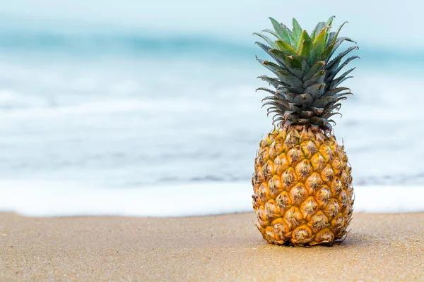 Tropische Früchte am Meer — Stockfoto
