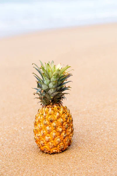 Ananas auf rosa Sand — Stockfoto