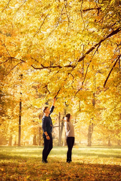 Dance under the autumn fall — Stock Photo, Image