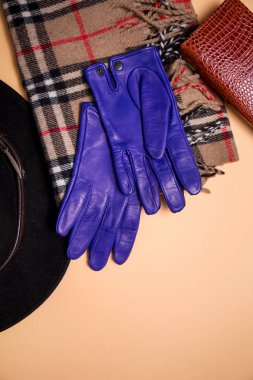 mavi sonbahar eldiven