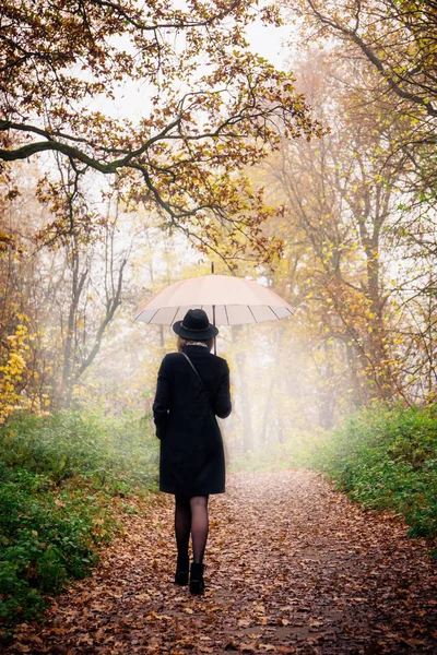 Женщина, идущая под зонтиком, вид сзади — стоковое фото