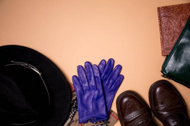 Bayan sonbahar aksesuarları ve mavi eldiven