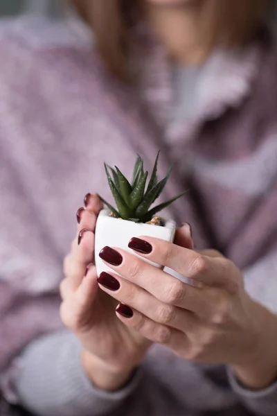 Pote com uma flor — Fotografia de Stock